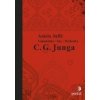 Vzpomínky, sny, myšlenky C. G. Junga (Aniela Jaffé) Vzpomínky, sny, myšlenky C. G. Junga (Aniela Jaffé)