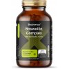 BrainMax Boswellia Complex, 60 rostlinných kapslí Komplex pre tvorbu kolagénu a antioxidačnú ochranu, 30 dávok, výživový doplnok BrainMax Boswellia Complex, 60 rostlinných kapslí Komplex pre tvorbu kolagénu a antioxidačnú ochranu, 30 dávok, výživový doplnok