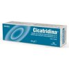 Cicatridina masť 60 g Cicatridina masť 60 g