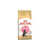 Royal Canin Feline BREED Maine Coon Kitten 400g Royal Canin Feline BREED Maine Coon Kitten 400g