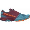 DYNAFIT ALPINE PRO 2