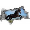 Diera 3D fototapeta na stenu Čierny kôň na lúke 95x73 cm