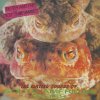 Peter & The Test Tube Babies - The Mating Sounds Of South American Frogs (LP) Peter & The Test Tube Babies - The Mating Sounds Of South American Frogs (LP)