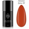 NANI gél lak Amazing Line 5 ml - Autumn Spice NANI gél lak Amazing Line 5 ml - Autumn Spice