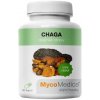 MycoMedica Chaga 90 kapsúl MycoMedica Chaga 90 kapsúl
