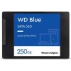 WD Blue SA510 1TB / 2.5 SATA III / SATA 6Gbps / R: 560MBps / W: 520 MBps / TLC / 5y (WDS100T3B0A)