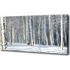Foto obraz tlačený na plátne Les zima 100x50 cm Foto obraz tlačený na plátne Les zima 100x50 cm