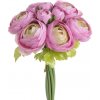 Kytica Ranunculus Best blush green 9ks Kytica Ranunculus Best blush green 9ks