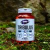 Now Foods Tribulus 1000 mg 90 tabliet