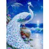 Norimpex diamantové maľovanie Biely páv 30 x 40cm