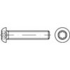 TOOLCRAFT 148241 šošovkové skrutky M6 25 mm T profil ocel glavanizované zinkom 500 ks; 148241 TOOLCRAFT 148241 šošovkové skrutky M6 25 mm T profil ocel glavanizované zinkom 500 ks; 148241