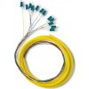 Qoltec 12 x LC/UPC optický pigtail | Singlemode | G657A2 | 2 m Qoltec 12 x LC/UPC optický pigtail | Singlemode | G657A2 | 2 m