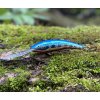 Wobler RAPALA Deep Tail Dancer TDD 7cm – Blue Flash Wobler RAPALA Deep Tail Dancer TDD 7cm – Blue Flash