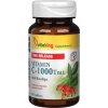 Vitaking Nepretržitá absorpcia vitamínu C 1000 mg so šípkami 60 Tableta Vitaking Nepretržitá absorpcia vitamínu C 1000 mg so šípkami 60 Tableta