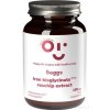 Beggs Iron bisglycinate 20 mg, rosehip extract 100 kapsúl Beggs Iron bisglycinate 20 mg, rosehip extract 100 kapsúl