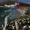 Amazing Falkland Islands (Naira Matevosyan)(Brožovaná) Amazing Falkland Islands (Naira Matevosyan)(Brožovaná)