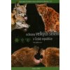 Ochrana velkých šelem v České republice - Petr Stýblo Ochrana velkých šelem v České republice - Petr Stýblo