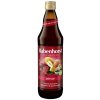 Rabenhorst Bio Detox šťava 0,75 l Rabenhorst Bio Detox šťava 0,75 l
