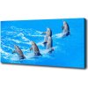 Foto obraz na plátne do obývačky Delfíni 100x50 cm Foto obraz na plátne do obývačky Delfíni 100x50 cm