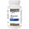 Pharma Activ Mumio 60 kapsúl Pharma Activ Mumio 60 kapsúl