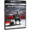 Westworld 2. séria - 4K Ultra HD Blu-ray + Blu-ray (3 BD) Westworld 2. séria - 4K Ultra HD Blu-ray + Blu-ray (3 BD)