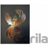 imago Obraz Harry Potter - Fénixov rád imago Obraz Harry Potter - Fénixov rád