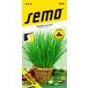 Pažitka pravá Erecta SEMO 2805 - jednoročka Pažitka pravá Erecta SEMO 2805 - jednoročka