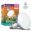 Arcadia D3 Basking Lamp 80 W 80W D3 Arcadia D3 Basking Lamp 80 W 80W D3