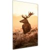 Vertikálny foto obraz akrylový Jeleň východ slnka 50x100 cm Vertikálny foto obraz akrylový Jeleň východ slnka 50x100 cm