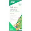 SALUS Zdravé črevá bylinné tonikum 250 ml SALUS Zdravé črevá bylinné tonikum 250 ml