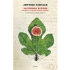 La foglia di fico.Storie di alberi,donne,uomini (Antonio Pascale)(Brožovaná) La foglia di fico.Storie di alberi,donne,uomini (Antonio Pascale)(Brožovaná)