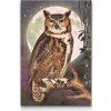Vymalujsisam.sk Diamantovanie podľa čísiel - Múdra sova Veľkosť: 40x60cm, Rám: Na kartónovej doske, Diamanty: Okrúhle Vymalujsisam.sk Diamantovanie podľa čísiel - Múdra sova Veľkosť: 40x60cm, Rám: Na kartónovej doske, Diamanty: Okrúhle