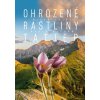 Ohrozené rastliny Tatier - Milan Zajac, Mário Duchoň Ohrozené rastliny Tatier - Milan Zajac, Mário Duchoň