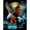 Norimpex diamantové maľovanie Orol pri splne 30 x 40 cm