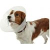 Límec ochranný BUSTER plastový Classic Collar 30cm Límec ochranný BUSTER plastový Classic Collar 30cm