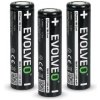 EVOLVEO LiPower 186 Core 2500, Li-ion batéria 18650 (3.7 V / 2500 mAh), 3ks LIP-1862C-3 EVOLVEO LiPower 186 Core 2500, Li-ion batéria 18650 (3.7 V / 2500 mAh), 3ks LIP-1862C-3