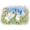 ZUTY Maľovanie podľa čísel - HUSY NA FARME Rámovanie: bez rámu a bez vypnutia plátna, Rozmer: 80x100 cm ZUTY Maľovanie podľa čísel - HUSY NA FARME Rámovanie: bez rámu a bez vypnutia plátna, Rozmer: 80x100 cm