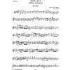 Voříšek Jan Václav Hugo: Missa in B (Missa solemnis op. 24) Voříšek Jan Václav Hugo: Missa in B (Missa solemnis op. 24)