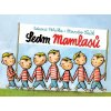 Sedm mamlasů (Eduard Petiška, Miroslav Šašek) Sedm mamlasů (Eduard Petiška, Miroslav Šašek)