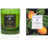 Blue Scents Soy candle bergamot - Sójová sviečka s vôňou bergamotu 145 gr Blue Scents Soy candle bergamot Blue Scents Soy candle bergamot - Sójová sviečka s vôňou bergamotu 145 gr Blue Scents Soy candle bergamot