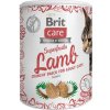 Brit Care Cat Snack Superfruits Lamb 100 g Brit Care Cat Snack Superfruits Lamb 100 g