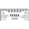 Tesla Silver+EU AAA 10 ks 13031013 Tesla Silver+EU AAA 10 ks 13031013