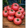 Semená paradajok 0,2 g Semená paradajok 0,2 g