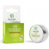 Green idea CBD balzam na pery 15 ml - Green idea CBD balzam na pery 15 ml -