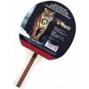 Pingpongová raketa Spokey FUNBAT Pingpongová raketa Spokey FUNBAT
