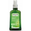 Weleda Body Care brezový olej proti celulitíde Birch Cellulite Oil 200 ml Weleda Body Care brezový olej proti celulitíde Birch Cellulite Oil 200 ml