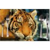 Sablio Prestieranie Tiger: 40x30cm Sablio Prestieranie Tiger: 40x30cm