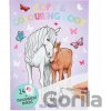 Miss Melody 3491248 omaľovánky s transparentní fólií koně