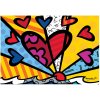 BlueBird Britto New Day 1000 dielov