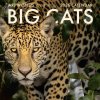 2026 Big Cats Wall Calendar 2026 Big Cats Wall Calendar
